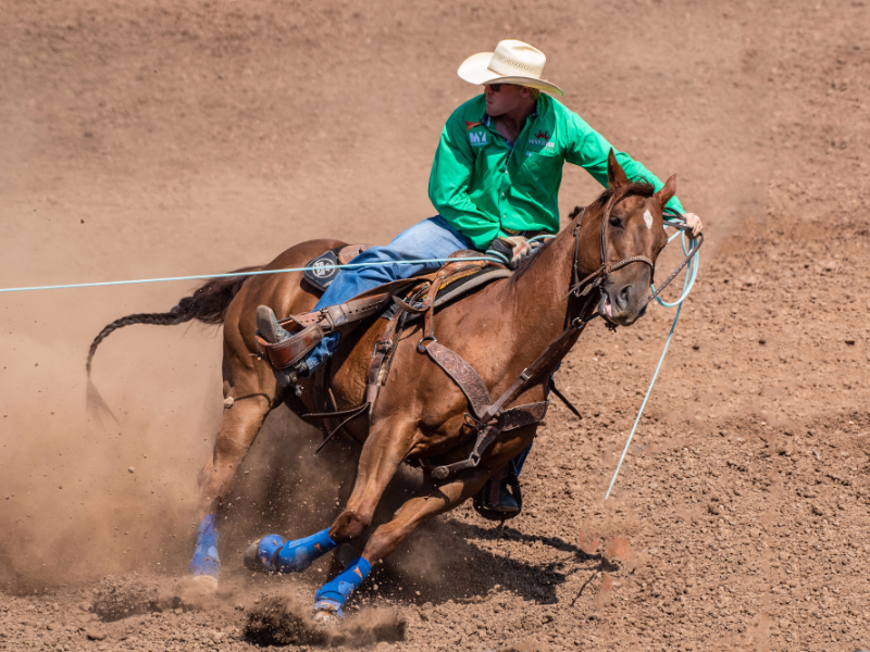 O que é team roping: guia completo sobre a modalidade western — Como funciona a competição de team roping?