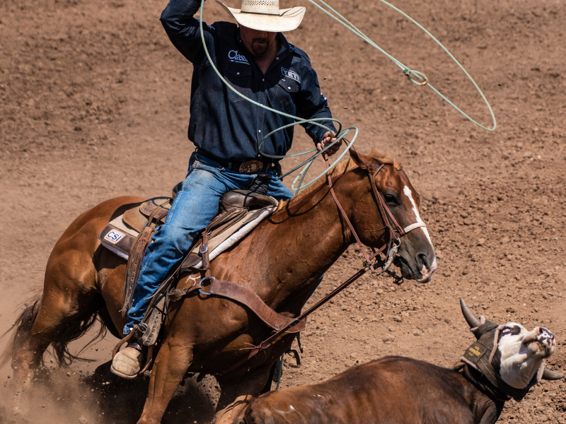 O que é team roping: guia completo sobre a modalidade western — Texas Center: referência em equipamentos e moda para o team roping